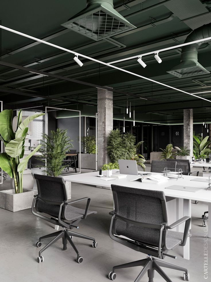 VERUM interior
